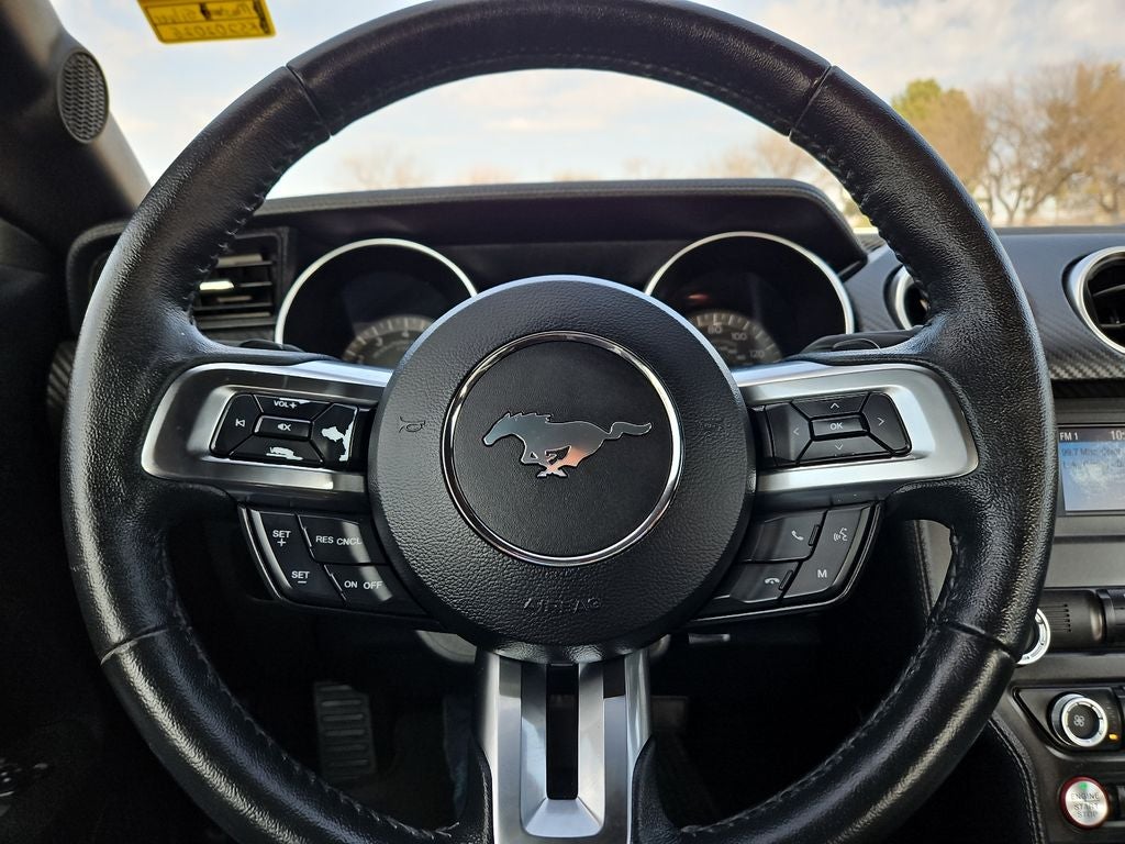 2019 Ford Mustang EcoBoost